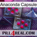 Anaconda Capsule 15